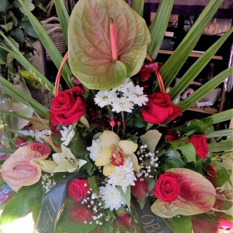 Cvijeće za groblje. | Cvjećarnica Ilaria Split