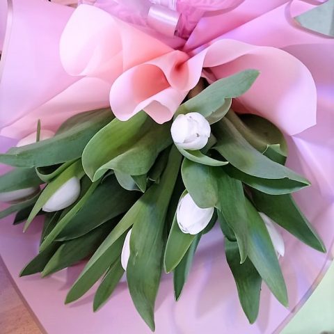 Buket tulipana | Cvjećarnica Ilaria